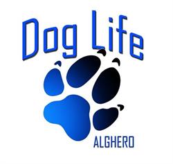 Dog Life