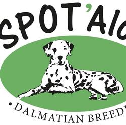 Spot'Alot