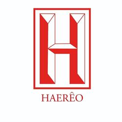 HAEREO s.r.l. lavori edili in fune - Linea vita