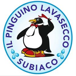 Il Pinguino Lavasecco