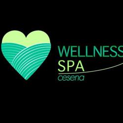 Wellness Spa