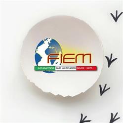 F.i.e.m. Incubators