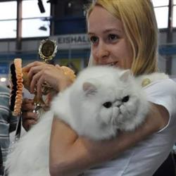 Grooming Space. Il Salotto del Cane e del Gatto