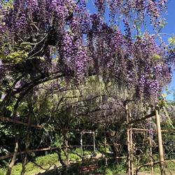 La Camilla Osnago - Cascina Vignola