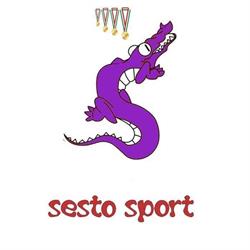 Sesto Sport