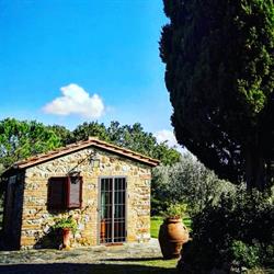Le Vigne Di Caldana