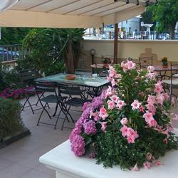 B&B Le Camelie