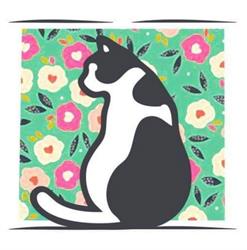 Il Gatto Sulla Finestra