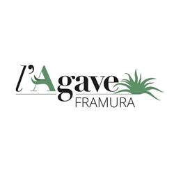 Agave S.a.s. di Rezzano Marco & C