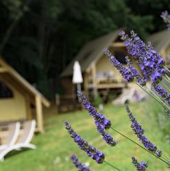 Glamping Pian delle Ginestre