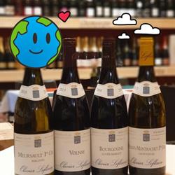 Enoteca Zero 7