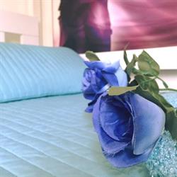 Blu House B&B