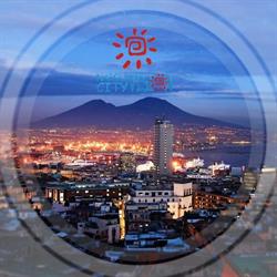 NAPOLICITYVISION