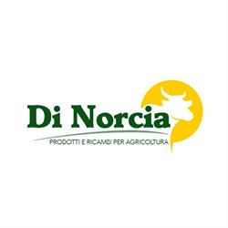 Di Norcia Srl