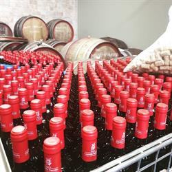 CANTINE CASTALDO TUCCILLO