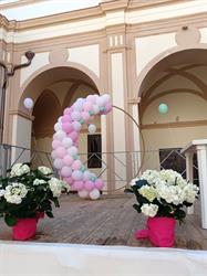 Wonderland Portici