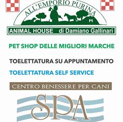 Animal House Milk Service