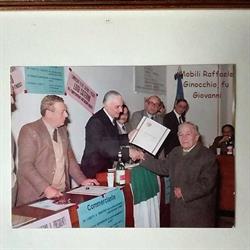 Mobili Ginocchio