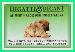 Digatti & Dicani