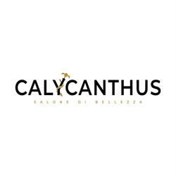 CALYCANTHUS salone di bellezza