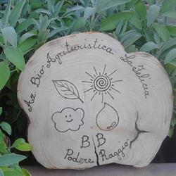 B&B Podere Raggio - Bio Agriturismo - Az.Agr. La Felicia