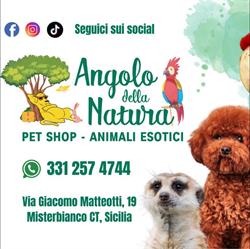 Angolo della Natura - Negozio per Animali