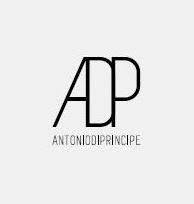 Antonio Di Principe SRL