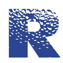 Refri impianti - Condizionamento e Refrigerazione
