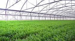 GreenItaly
