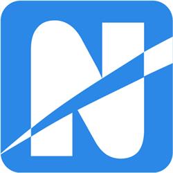 Netsurf s.r.l.