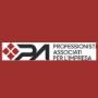 Professionisti associati per l'impresa - commercialisti vicenza -logo