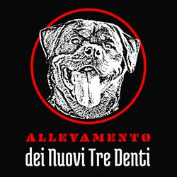 Rottweiler Dei Nuovi Tre Denti