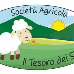 Il Tesoro dei sibillini di Tidei Mauro e Marica