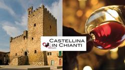 Amo Castellina