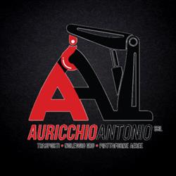 Auricchio Trasporti Napoli  Noleggio Autogru Gru Napoli   Trasporto Merci