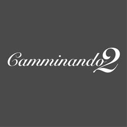 Camminando2