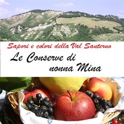 LE CONSERVE DI NONNA MINA della soc agr martelli e renzi