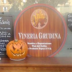 VINERIA GRUDINA