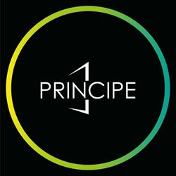Principe Sezione Profili