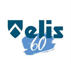 ELIS Consulting & Labs