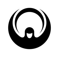 DLux Professional Italia