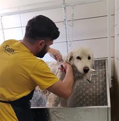 Il Libro Della Giungla toelettatura e petshop