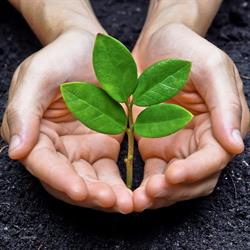Sca.ver. Costruzioni S.r.l. Unipersonale