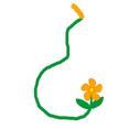 La Zucca Vuota