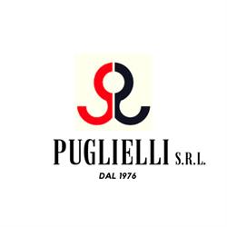 PUGLIELLI SRL
