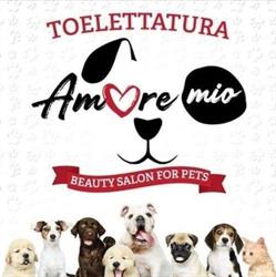 Toelettatura AmoreMio- Beauty Salon For Pets