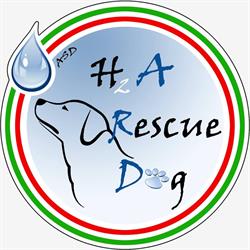 H2A Rescue Dog