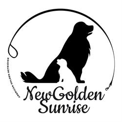 New Golden Sunrise