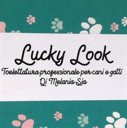 Lucky Look Toelettatura professionale per cani e gatti