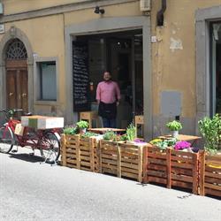 Tuscan Taste